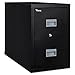 Algopix Similar Product 1 - Patriot Insulated 2Drawer Fire File