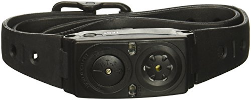 Algopix Similar Product 17 - High Tech Pet BT3 Bark Terminator 3
