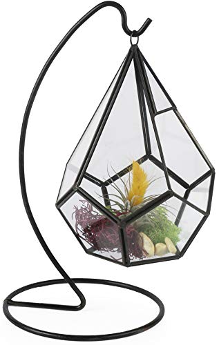 Algopix Similar Product 11 - Circleware 32501 Terraria Black