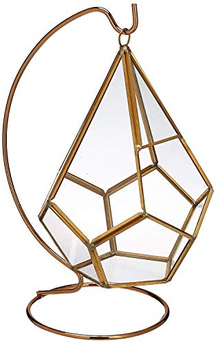 Algopix Similar Product 7 - Circleware 32502 Terraria Glass Plant