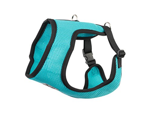 Algopix Similar Product 20 - RC Pet Products Cirque Soft Walking Dog
