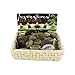 Algopix Similar Product 3 - bulk buys Inspirational Stones Display