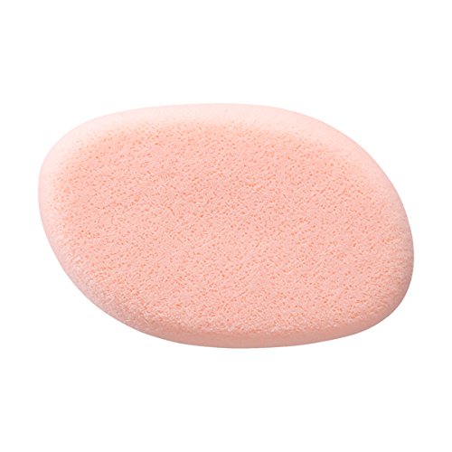 Algopix Similar Product 7 - Shiseido Make Sponge Liquid Water Type