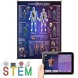 Algopix Similar Product 13 - Human Anatomy Chart with 4D Interactive