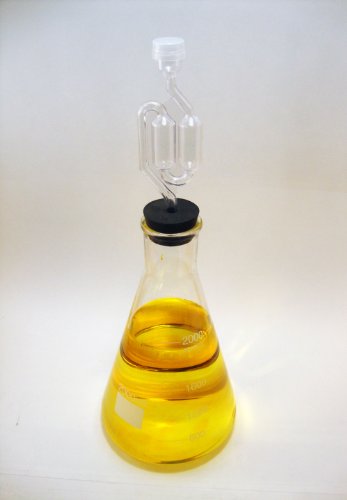 Algopix Similar Product 12 - 5000 ml Fermenter Flask with Stopper