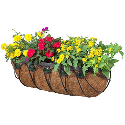 Algopix Similar Product 1 - Arcadia Emerald Series Wall Trough