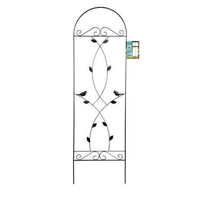 Algopix Similar Product 6 - Aurora Trellis Size: 6'