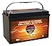 Algopix Similar Product 3 - Vmaxtanks VMAXSLR125 AGM 12V 125Ah SLA