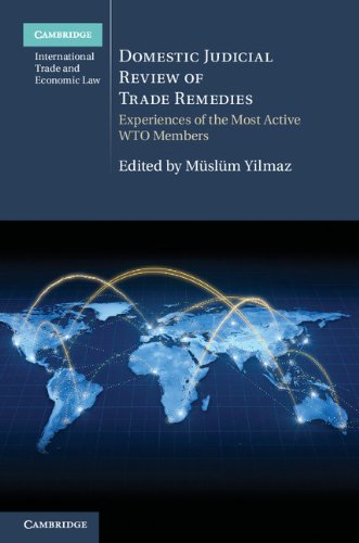 Algopix Similar Product 7 - Domestic Judicial Review of Trade