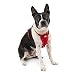 Algopix Similar Product 9 - Kurgo Enhanced Strength TruFit Dog Car