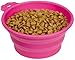 Algopix Similar Product 9 - Guardian Gear BendABowl Collapsible