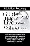 Algopix Similar Product 19 - Addiction Recovery Guide To Help You