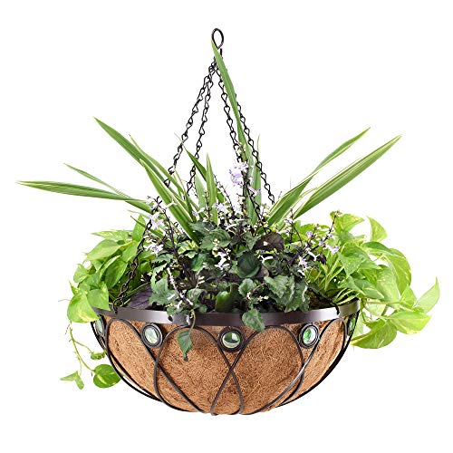Algopix Similar Product 4 - Arcadia Emerald Series Round Hanging
