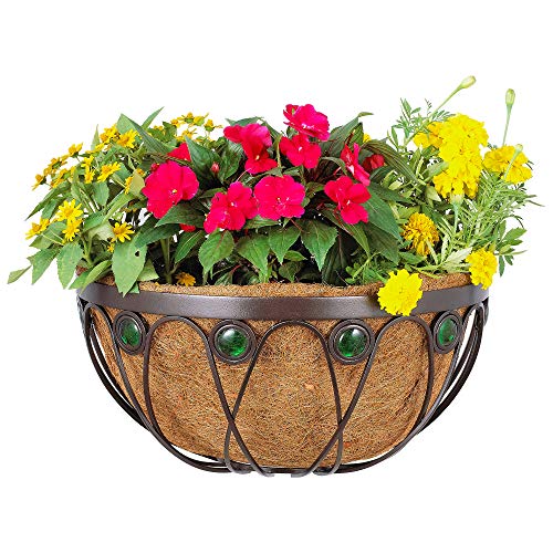 Algopix Similar Product 14 - Arcadia Emerald Series Wall Manger