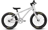 Algopix Similar Product 20 - EARLY RIDER Belter 16