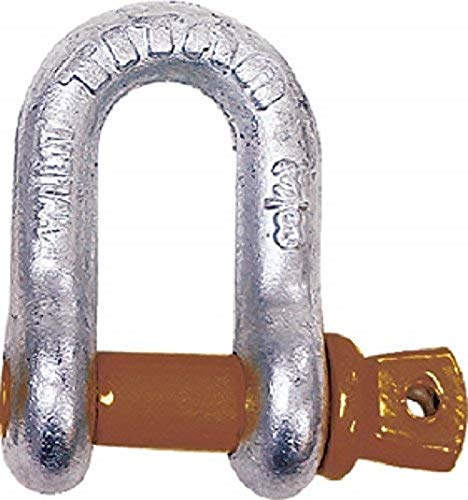 Algopix Similar Product 7 - Titan 10319069 D Type Anchor Shackle
