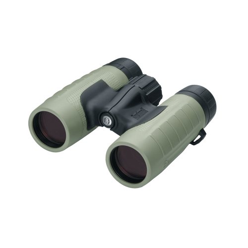 Algopix Similar Product 5 - Bushnell NatureView 10 x 42mm Roof