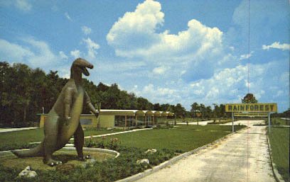 Algopix Similar Product 20 - Wildwood, Florida Postcard