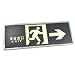 Algopix Similar Product 19 - uxcell Glow in The Dark Running Man