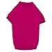 Algopix Similar Product 11 - Zack  Zoey Basic Tee Shirt for Dogs