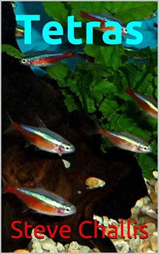 Algopix Similar Product 13 - Tetras: Fifty Beautiful Tetras