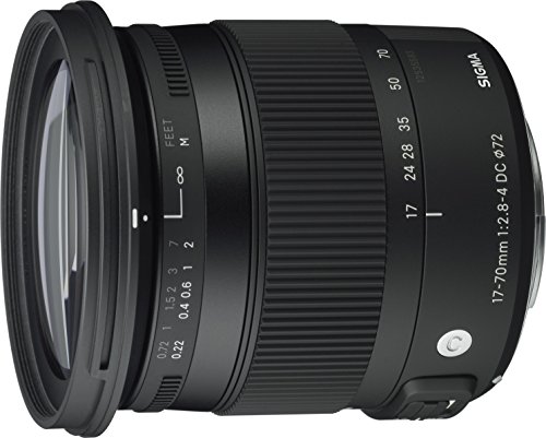 Algopix Similar Product 11 - Sigma 1770mm F284 Contemporary DC