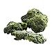 Algopix Similar Product 13 - Simplot IQF Chopped Spinach  20 lb