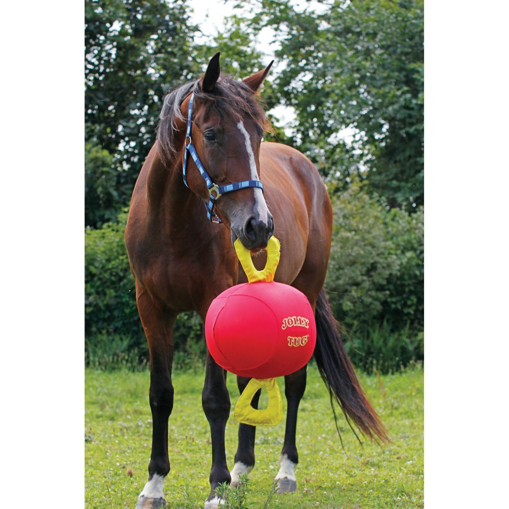 Algopix Similar Product 20 - Horsemens Pride 14 Jolly Tug Horse