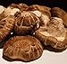 Algopix Similar Product 7 - Appox. 1 Lb Fresh Shiitake Mushrooms