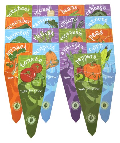Algopix Similar Product 3 - Winchester Gardens Assorted