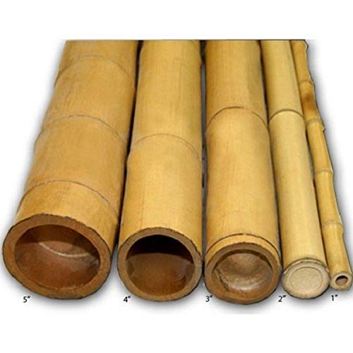 Algopix Similar Product 7 - Backyard Xscapes Natural Bamboo Poles