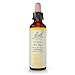 Algopix Similar Product 18 - Bach Original Flower Remedies Gorse 