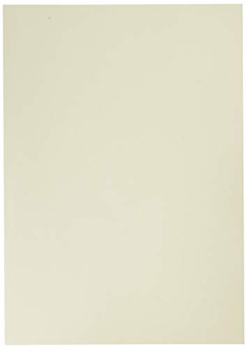 Algopix Similar Product 6 - Awagami Premio Inbe White Fine Art