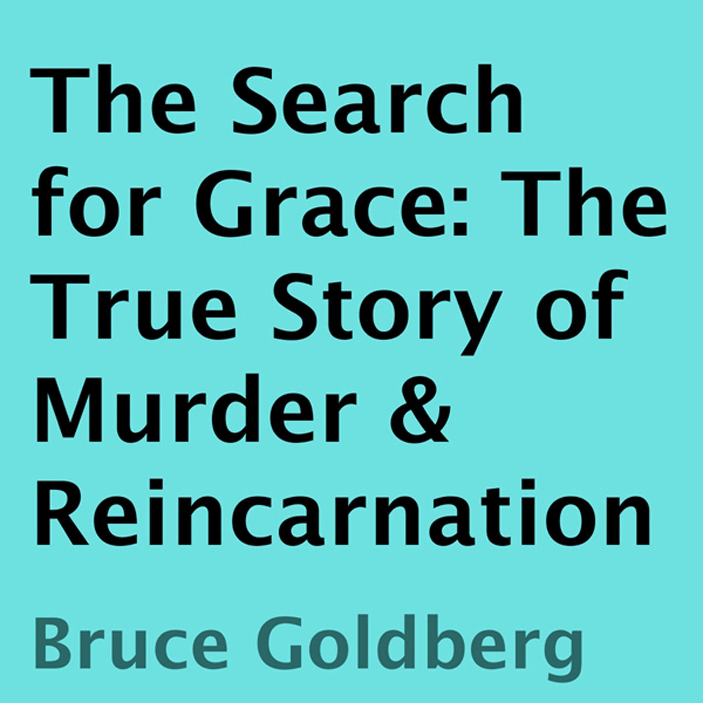 Algopix Similar Product 14 - The Search for Grace The True Story of