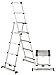 Algopix Similar Product 17 - Telesteps 10ES Telescoping AFrame