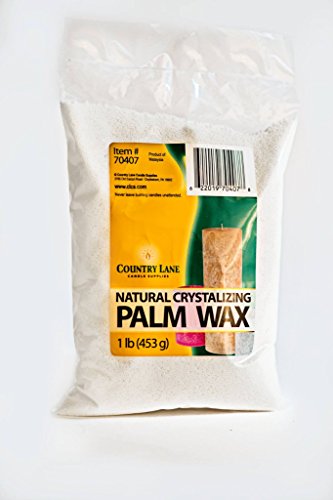 Algopix Similar Product 15 - CANDLEWIC Candle Palm Wax 1Lb Bag