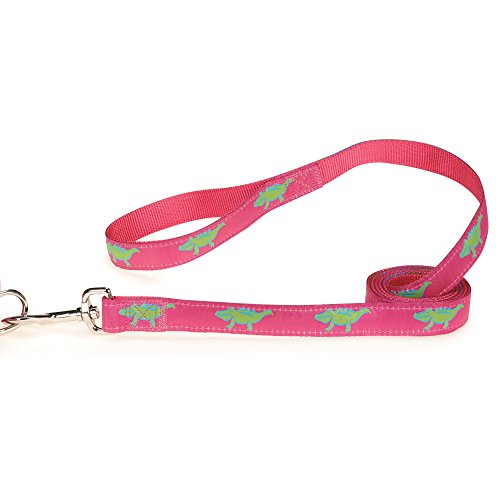 Algopix Similar Product 19 - Zack  Zoey Water Ways Dog Leash