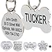 Algopix Similar Product 4 - GoTags Stainless Steel Pet ID Tags