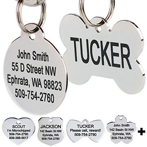 Algopix Similar Product 13 - GoTags Stainless Steel Pet ID Tags