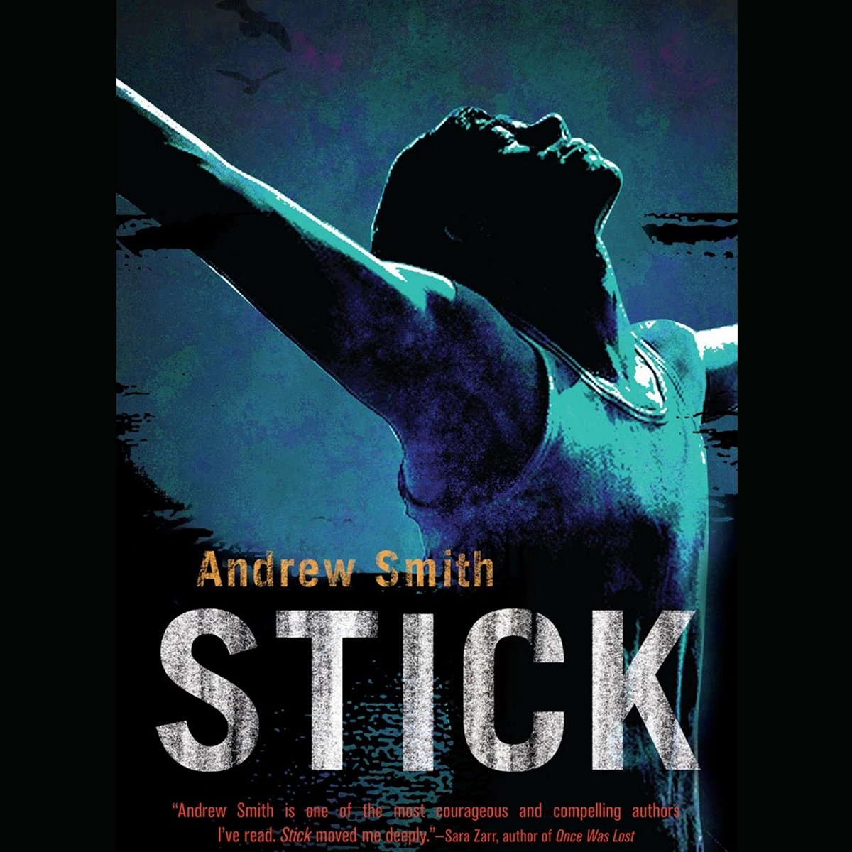 Algopix Similar Product 17 - Stick