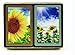 Algopix Similar Product 3 - Congress Sunflower Playing Cards