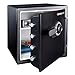 Algopix Similar Product 7 - SentrySafe SFW123CS Lock Boxes