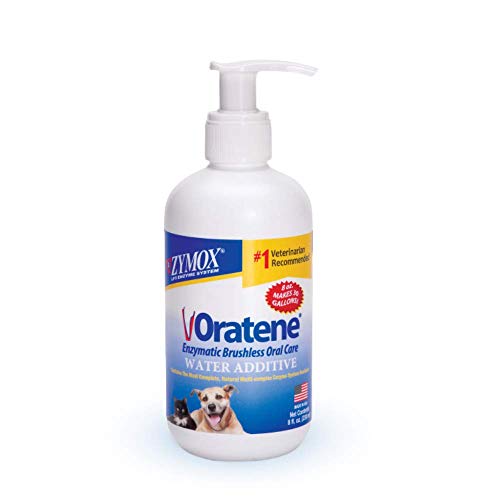 Algopix Similar Product 14 - Pet King Brands ZYMOX Oratene Enzymatic