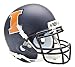 Algopix Similar Product 19 - NCAA Illinois Fighting Illini
