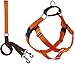 Algopix Similar Product 15 - 2 Hounds Design Freedom No Pull Dog