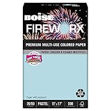 Algopix Similar Product 17 - Boise Paper,Ledger,Fireworx,Lbe MP2207BE