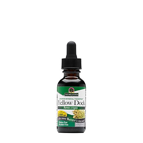 Algopix Similar Product 18 - Natures Answer Yellow Dock Root
