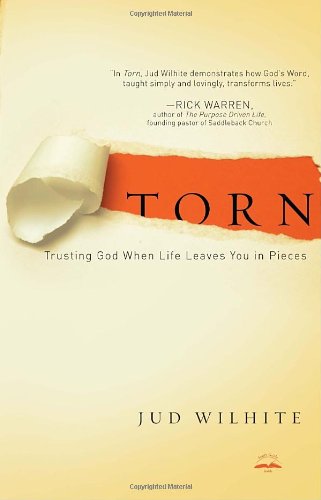 Algopix Similar Product 11 - Torn Trusting God When Life Leaves You