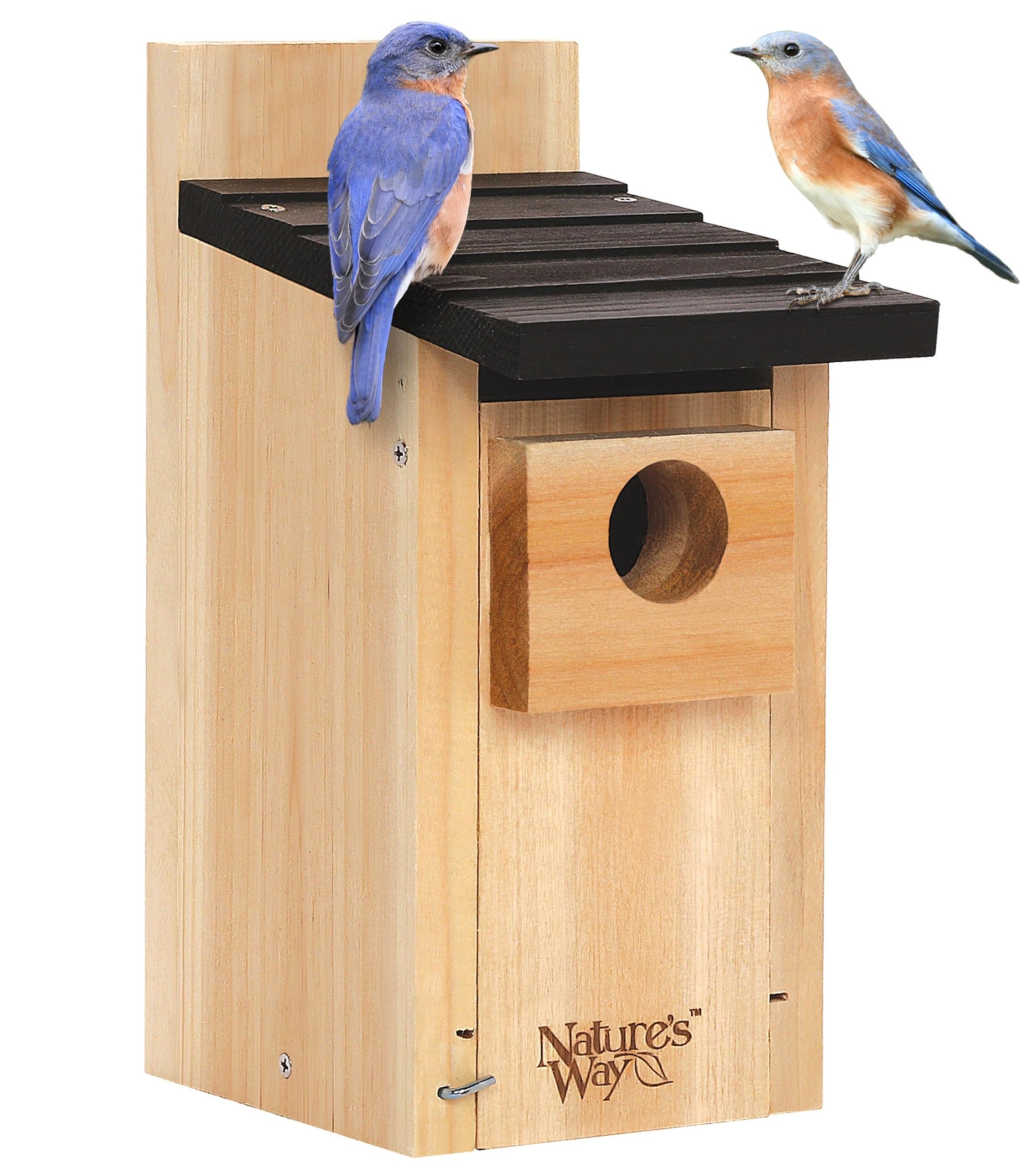 Algopix Similar Product 13 - Natures Way Bird Products CWH3 Cedar