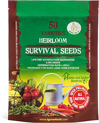 Algopix Similar Product 16 - Heirloom Vegetable Seeds Non GMO